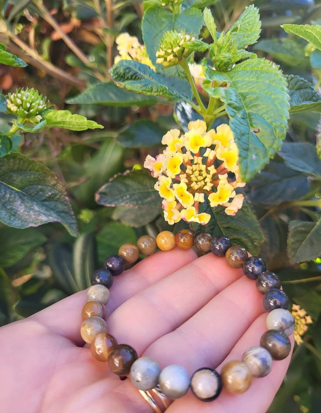 BRACELET Jaspe Mokaïte