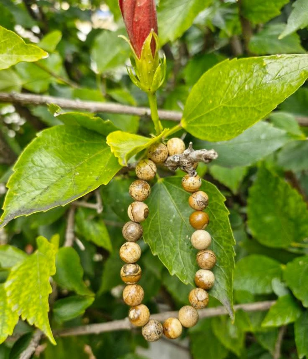 BRACELET Jaspe Brun