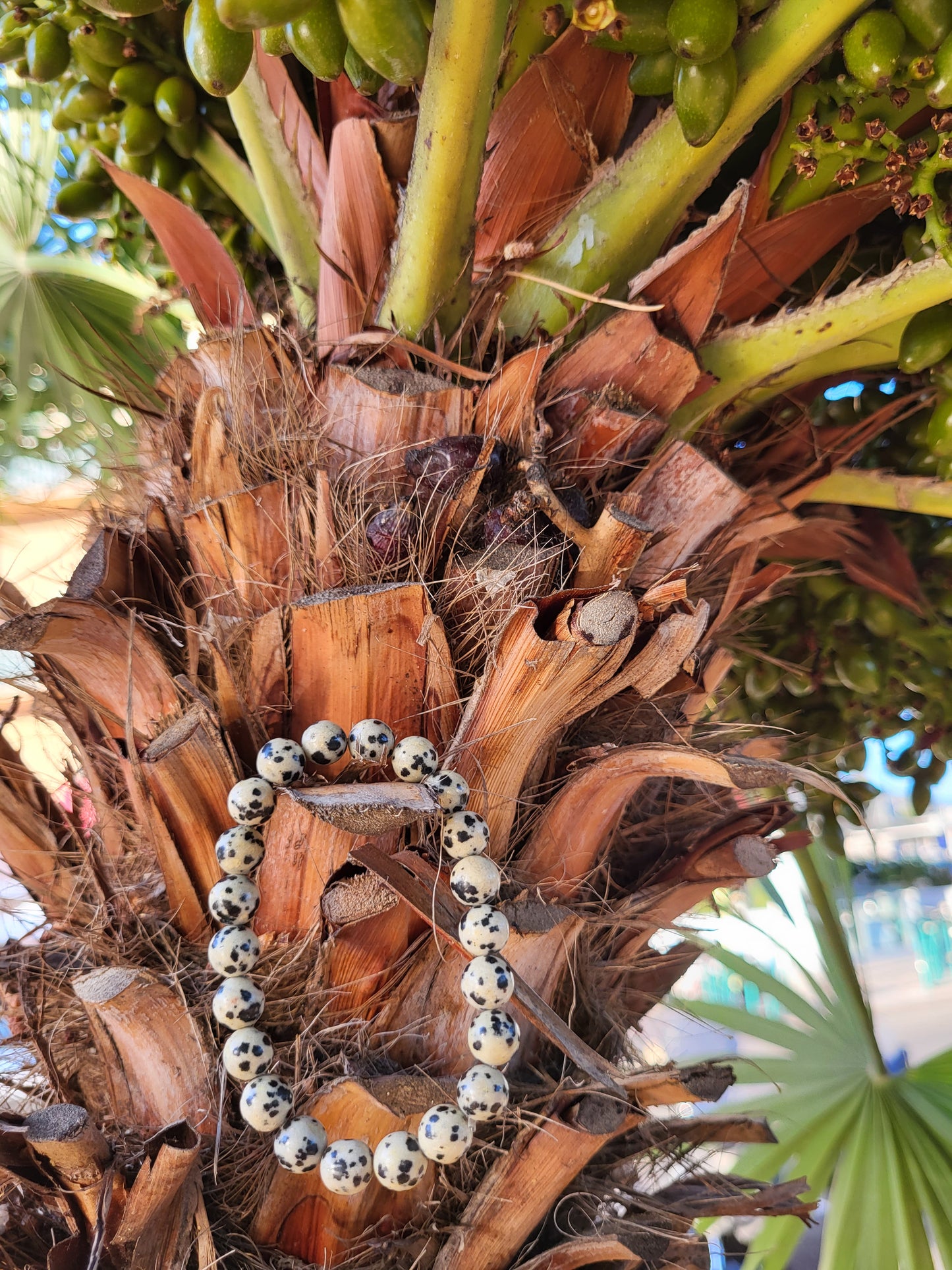 BRACELET Zebradorite - Jaspe Dalmatien " Bonheur et Protectrice "