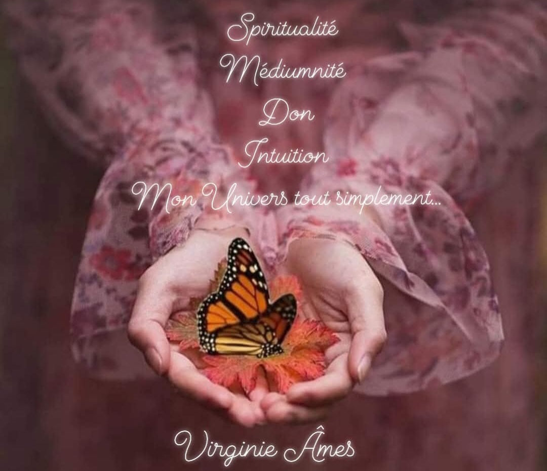 Séances de consultation