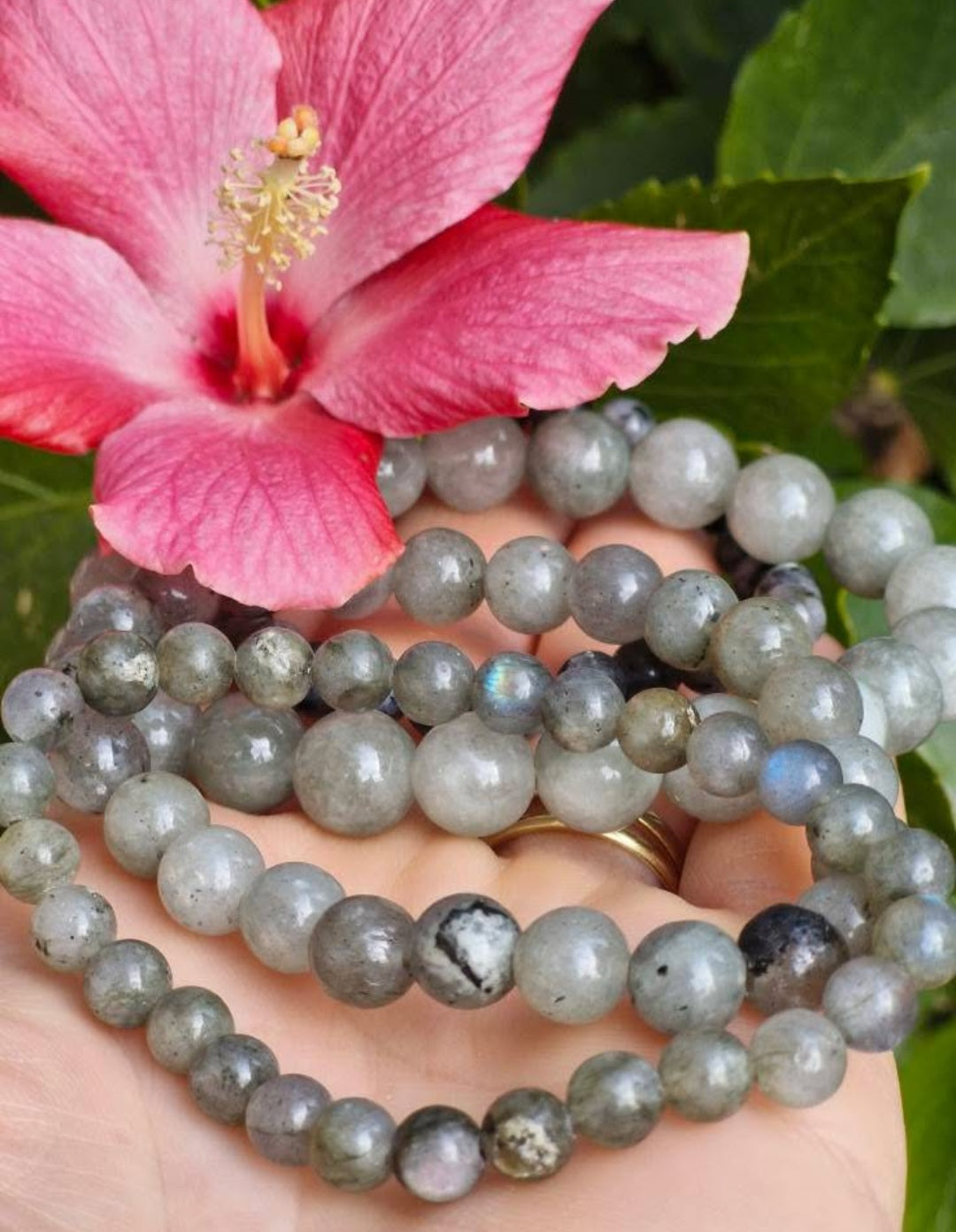 BRACELET Labradorite